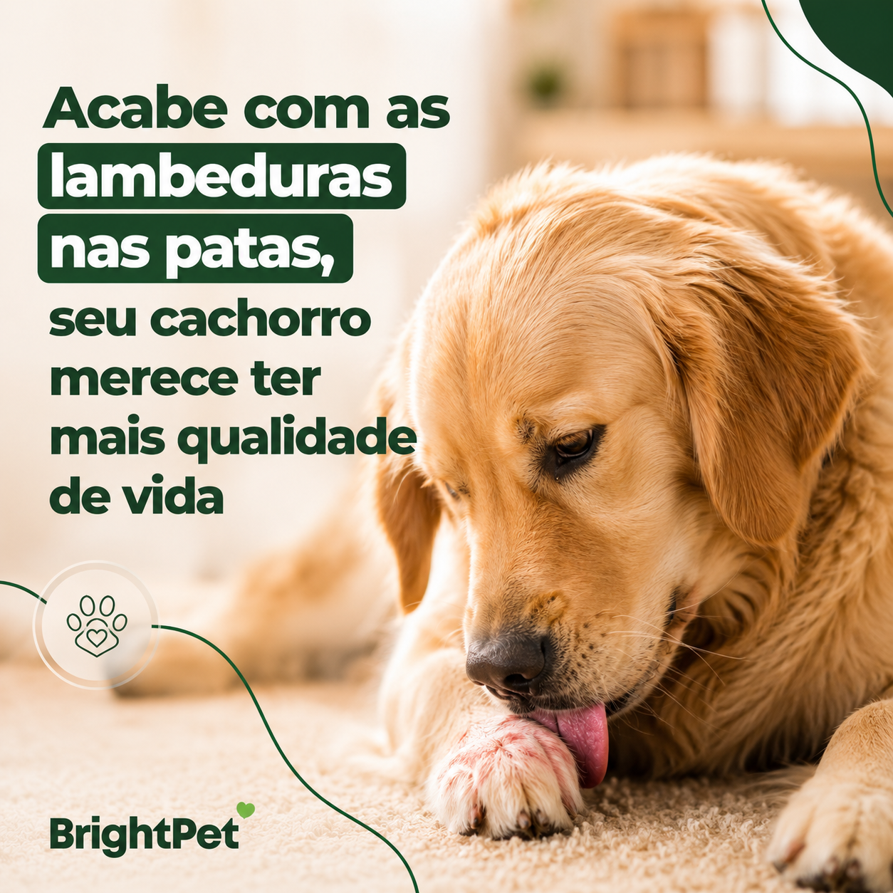 Fórmula com probióticos multicepas e prebióticos