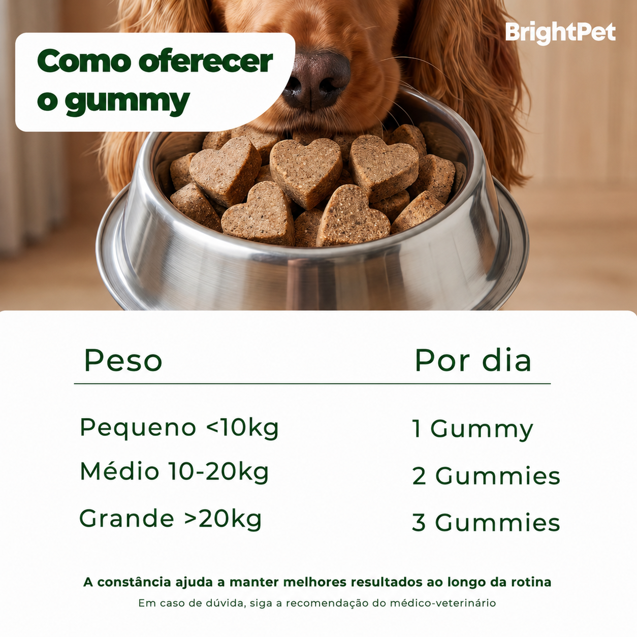 Apoio ao equilíbrio intestinal e à imunidade natural