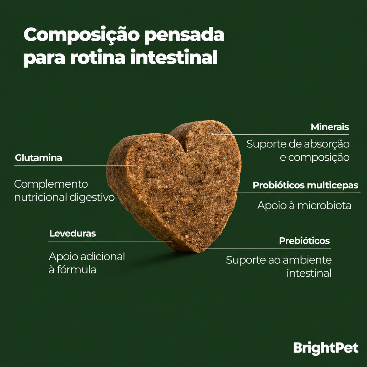 BrightPet — etapas e embalagem